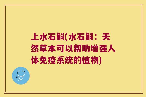 上水石斛(水石斛：天然草本可以帮助增强人体免疫系统的植物)