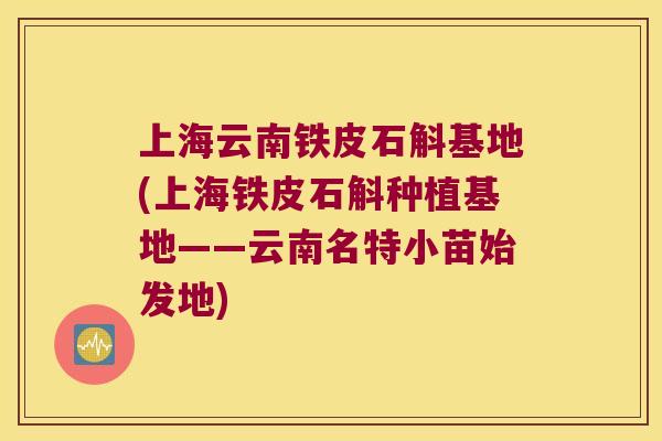 上海云南铁皮石斛基地(上海铁皮石斛种植基地——云南名特小苗始发地)