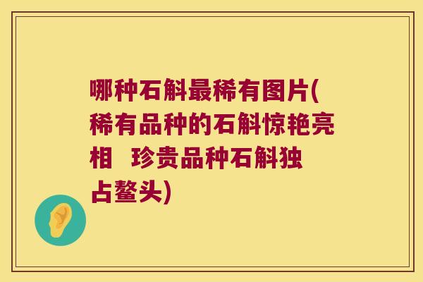 哪种石斛最稀有图片(稀有品种的石斛惊艳亮相  珍贵品种石斛独占鳌头)