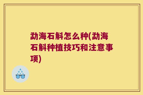 勐海石斛怎么种(勐海石斛种植技巧和注意事项)