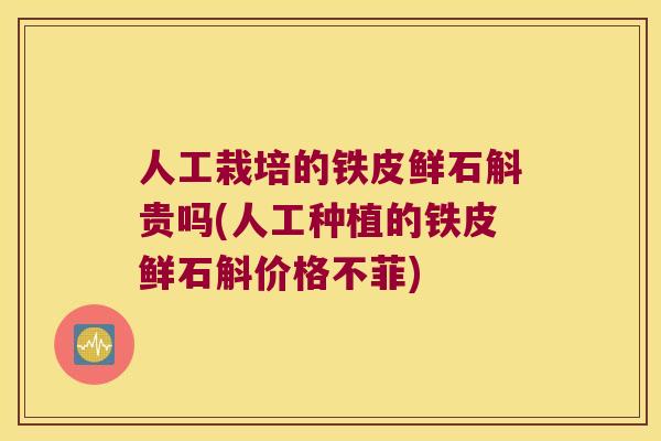 人工栽培的铁皮鲜石斛贵吗(人工种植的铁皮鲜石斛价格不菲)