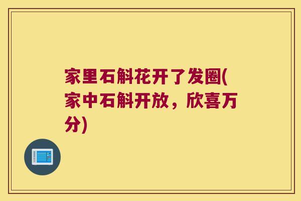 家里石斛花开了发圈(家中石斛开放，欣喜万分)