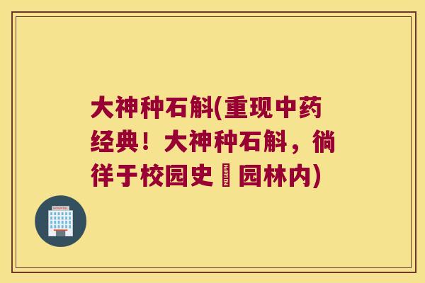 大神种石斛(重现中药经典！大神种石斛，徜徉于校园史蹟园林内)