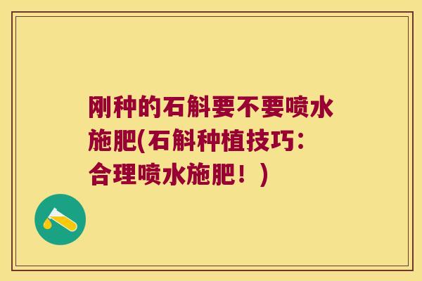 刚种的石斛要不要喷水施肥(石斛种植技巧：合理喷水施肥！)