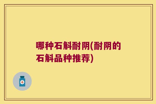 哪种石斛耐阴(耐阴的石斛品种推荐) 哪种石斛耐阴(耐阴的石斛品种推荐)