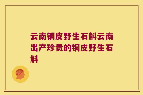 云南铜皮野生石斛云南出产珍贵的铜皮野生石斛