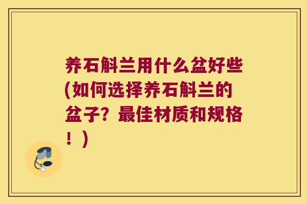 养石斛兰用什么盆好些(如何选择养石斛兰的盆子？最佳材质和规格！)