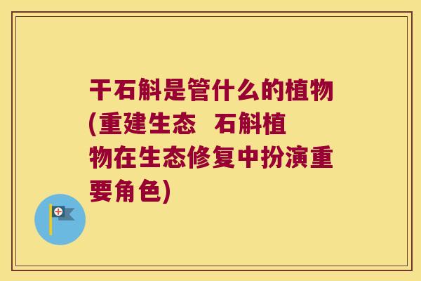 干石斛是管什么的植物(重建生态  石斛植物在生态修复中扮演重要角色)