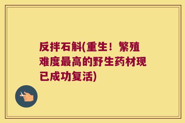 反拌石斛(重生！繁殖难度高的野生药材现已成功复活)