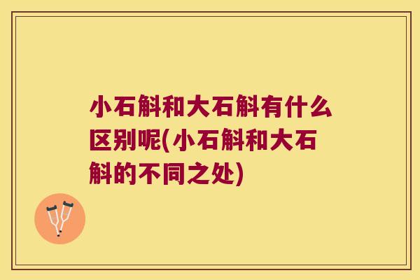 小石斛和大石斛有什么区别呢(小石斛和大石斛的不同之处)