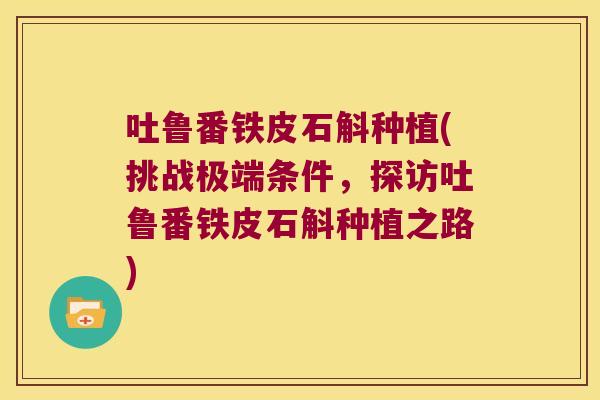 吐鲁番铁皮石斛种植(挑战极端条件，探访吐鲁番铁皮石斛种植之路)