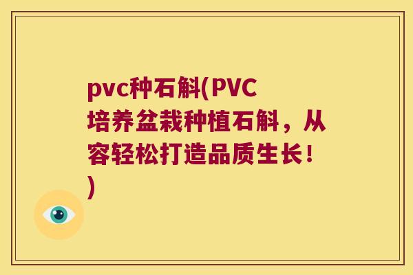 pvc种石斛(PVC培养盆栽种植石斛，从容轻松打造品质生长！)