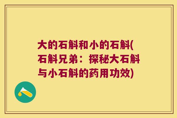 大的石斛和小的石斛(石斛兄弟：探秘大石斛与小石斛的药用功效)