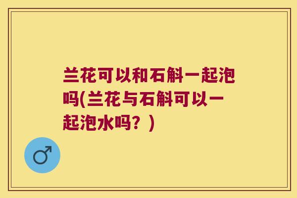 兰花可以和石斛一起泡吗(兰花与石斛可以一起泡水吗？)