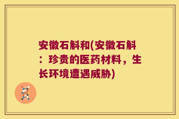 安徽石斛和(安徽石斛:珍贵的医药材料,生长环境遭遇威胁) 安徽石斛和(安徽石斛:珍贵的医药材料,生长环境遭遇威胁)
