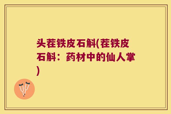 头茬铁皮石斛(茬铁皮石斛：药材中的仙人掌)