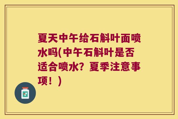 夏天中午给石斛叶面喷水吗(中午石斛叶是否适合喷水？夏季注意事项！)