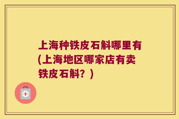 上海种铁皮石斛哪里有(上海地区哪家店有卖铁皮石斛？)