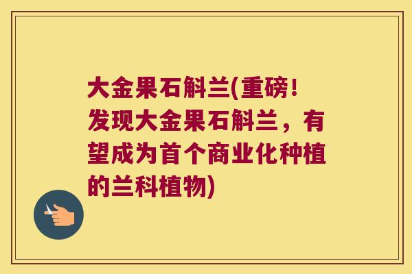 大金果石斛兰(重磅！发现大金果石斛兰，有望成为商业化种植的兰科植物)