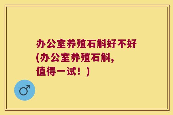 办公室养殖石斛好不好(办公室养殖石斛, 值得一试！)