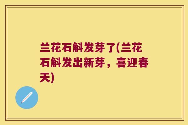 兰花石斛发芽了(兰花石斛发出新芽，喜迎春天)