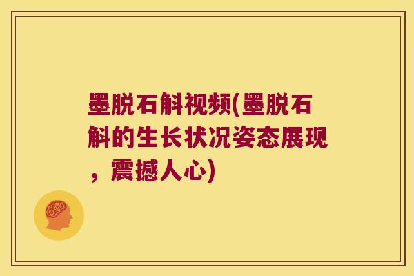 墨脱石斛视频(墨脱石斛的生长状况姿态展现，震撼人心)