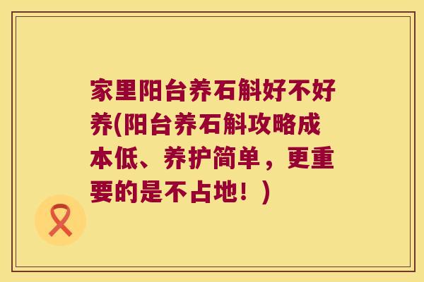 家里阳台养石斛好不好养(阳台养石斛攻略成本低、养护简单，更重要的是不占地！)