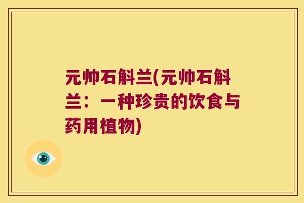 元帅石斛兰(元帅石斛兰:一种珍贵的饮食与药用植物) 元帅石斛兰(元帅石斛兰:一种珍贵的饮食与药用植物)