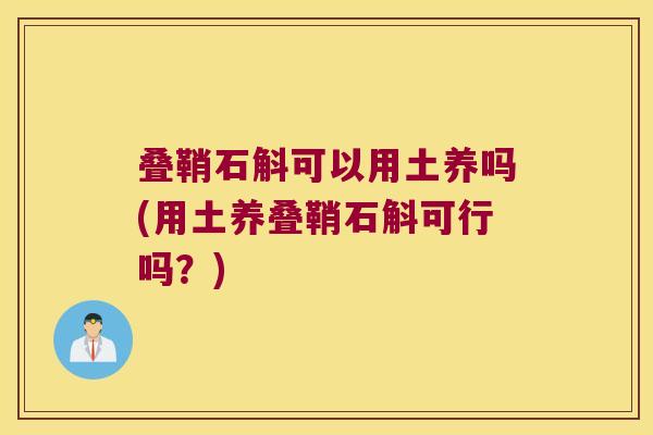 叠鞘石斛可以用土养吗(用土养叠鞘石斛可行吗？)