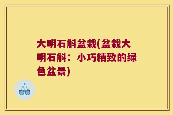 大明石斛盆栽(盆栽大明石斛：小巧精致的绿色盆景)