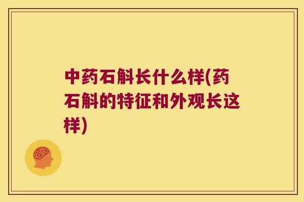 中药石斛长什么样(药石斛的特征和外观长这样)