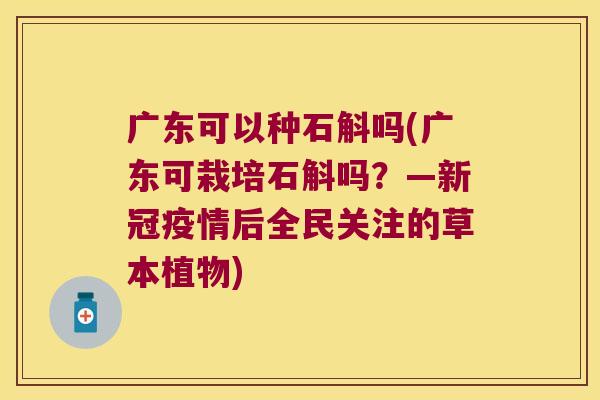 广东可以种石斛吗(广东可栽培石斛吗？—新冠疫情后全民关注的草本植物)