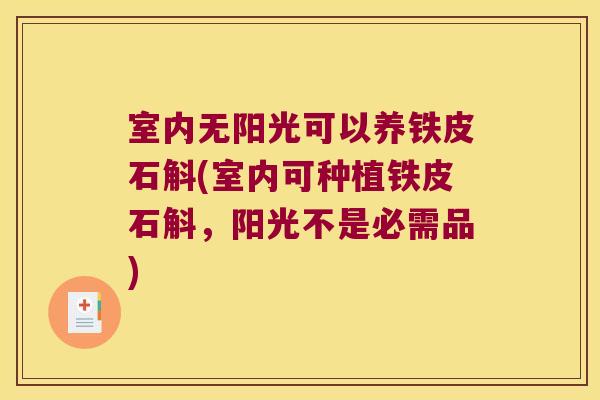 室内无阳光可以养铁皮石斛(室内可种植铁皮石斛，阳光不是必需品)
