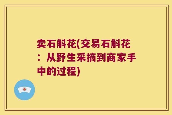 卖石斛花(交易石斛花：从野生采摘到商家手中的过程)