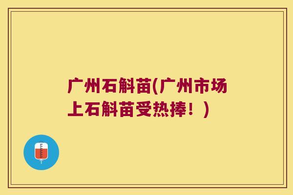 广州石斛苗(广州市场上石斛苗受热捧！)