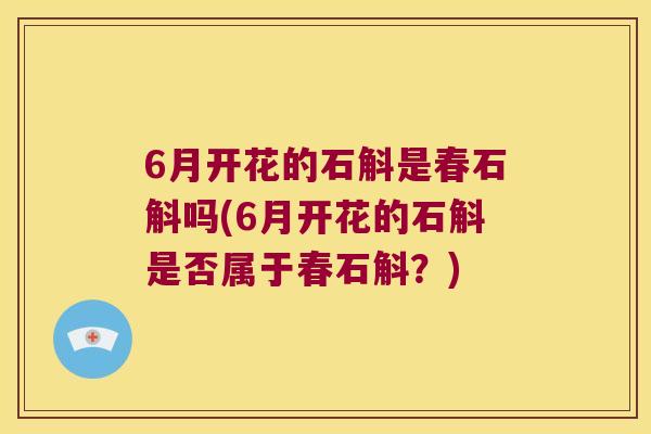 6月开花的石斛是春石斛吗(6月开花的石斛是否属于春石斛？)