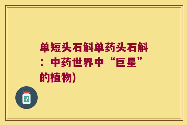 单短头石斛单药头石斛：中药世界中“巨星”的植物)
