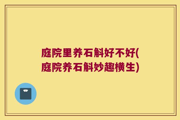 庭院里养石斛好不好(庭院养石斛妙趣横生)