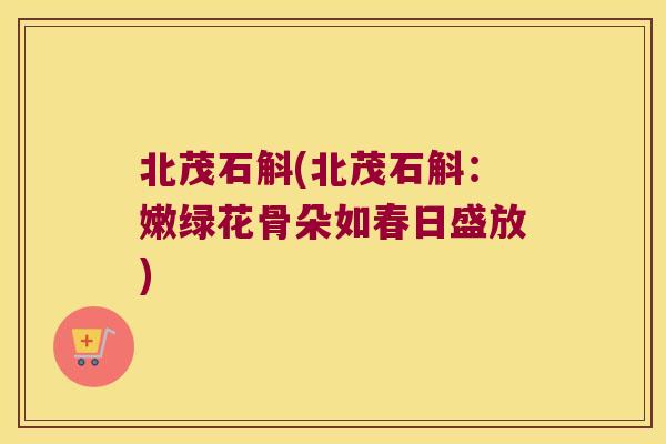 北茂石斛(北茂石斛：嫩绿花骨朵如春日盛放)