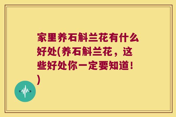 家里养石斛兰花有什么好处(养石斛兰花，这些好处你一定要知道！)