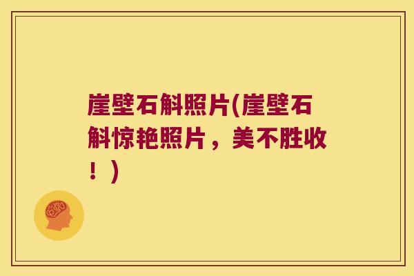 崖壁石斛照片(崖壁石斛惊艳照片，美不胜收！)