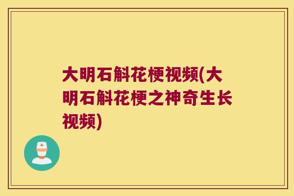 大明石斛花梗视频(大明石斛花梗之神奇生长视频)