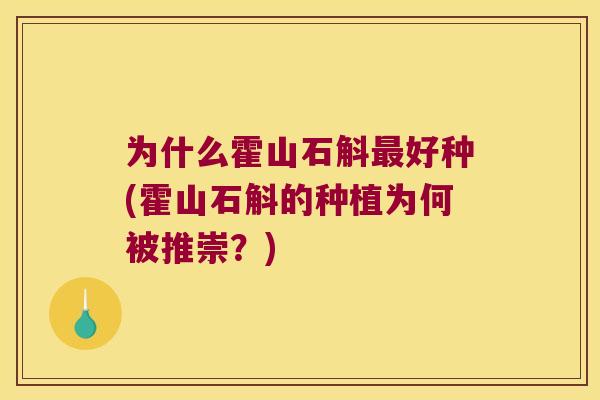 为什么霍山石斛好种(霍山石斛的种植为何被推崇？)