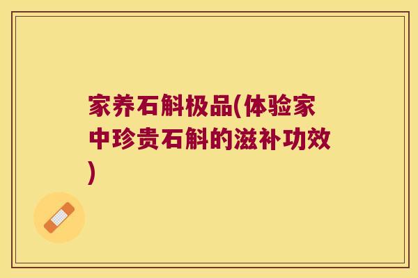 家养石斛极品(体验家中珍贵石斛的滋补功效)