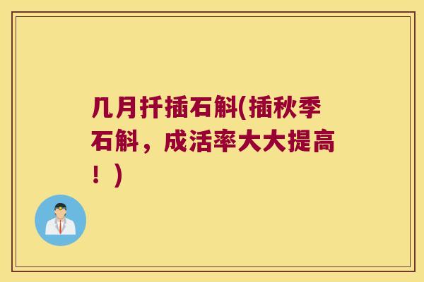 几月扦插石斛(插秋季石斛，成活率大大提高！)