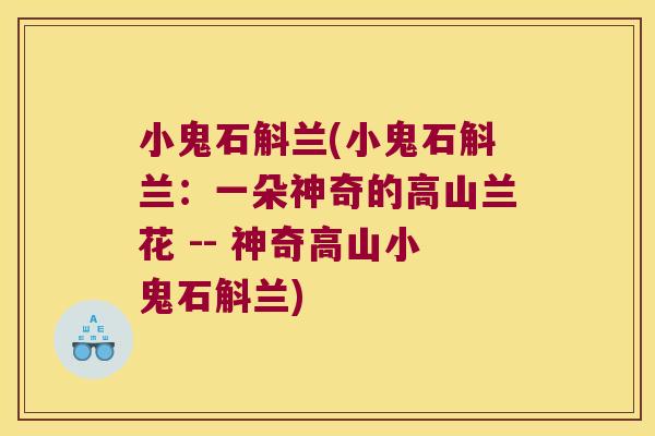 小鬼石斛兰(小鬼石斛兰：一朵神奇的高山兰花 -- 神奇高山小鬼石斛兰)
