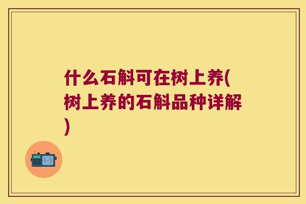 什么石斛可在树上养(树上养的石斛品种详解)