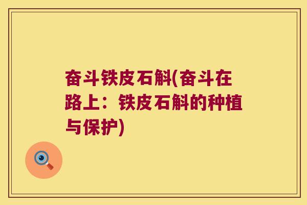 奋斗铁皮石斛(奋斗在路上：铁皮石斛的种植与保护)