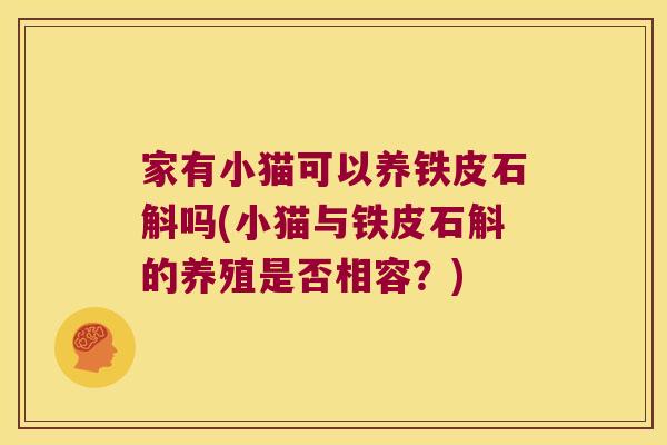 家有小猫可以养铁皮石斛吗(小猫与铁皮石斛的养殖是否相容？)