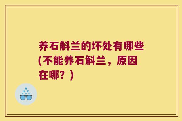 养石斛兰的坏处有哪些(不能养石斛兰，原因在哪？)